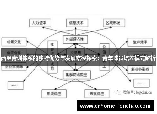西甲青训体系的独特优势与发展路径探索：青年球员培养模式解析