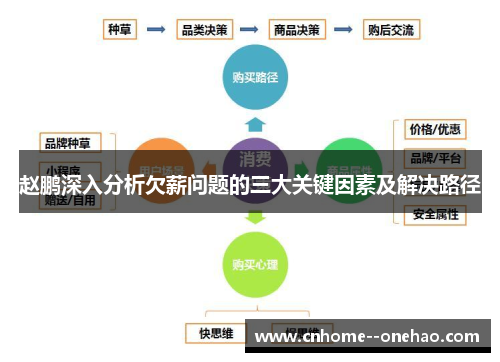 赵鹏深入分析欠薪问题的三大关键因素及解决路径
