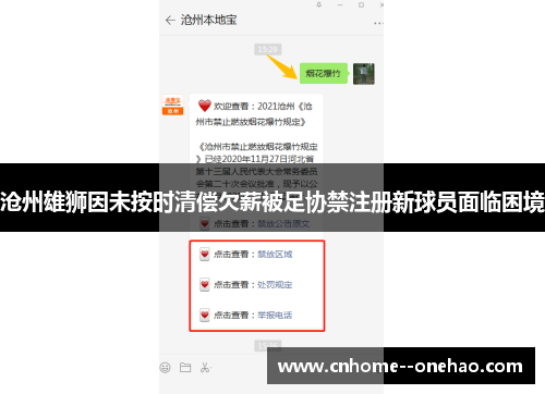 沧州雄狮因未按时清偿欠薪被足协禁注册新球员面临困境