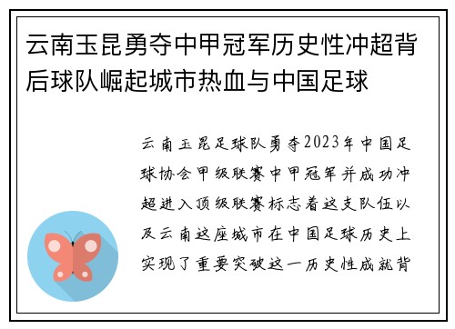 云南玉昆勇夺中甲冠军历史性冲超背后球队崛起城市热血与中国足球