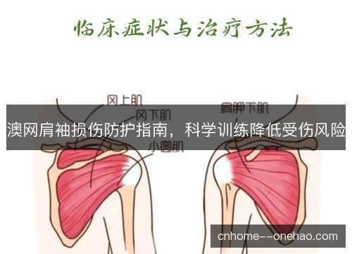 澳网肩袖损伤防护指南，科学训练降低受伤风险
